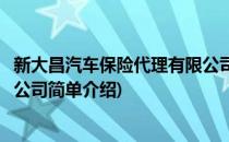 新大昌汽车保险代理有限公司(对于新大昌汽车保险代理有限公司简单介绍)