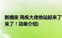 新婚夜 残疾大佬他站起来了！(对于新婚夜 残疾大佬他站起来了！简单介绍)