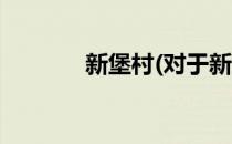 新堡村(对于新堡村简单介绍)
