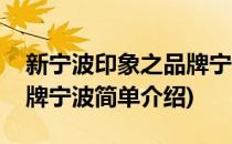 新宁波印象之品牌宁波(对于新宁波印象之品牌宁波简单介绍)
