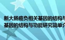 新大肠癌负相关基因的结构与功能研究(对于新大肠癌负相关基因的结构与功能研究简单介绍)