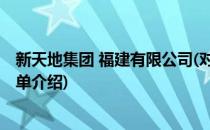 新天地集团 福建有限公司(对于新天地集团 福建有限公司简单介绍)