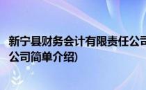 新宁县财务会计有限责任公司(对于新宁县财务会计有限责任公司简单介绍)