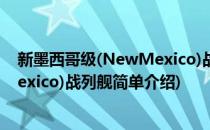 新墨西哥级(NewMexico)战列舰(对于新墨西哥级(NewMexico)战列舰简单介绍)