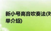 新小号高音吹奏法(对于新小号高音吹奏法简单介绍)