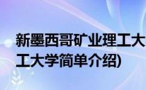 新墨西哥矿业理工大学(对于新墨西哥矿业理工大学简单介绍)