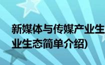 新媒体与传媒产业生态(对于新媒体与传媒产业生态简单介绍)