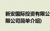 新安国际投资有限公司(对于新安国际投资有限公司简单介绍)