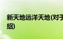 新天地远洋天地(对于新天地远洋天地简单介绍)