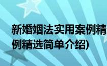 新婚姻法实用案例精选(对于新婚姻法实用案例精选简单介绍)