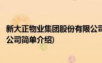 新大正物业集团股份有限公司(对于新大正物业集团股份有限公司简单介绍)