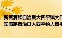 新宾满族自治县大四平镇大四平村学雷锋志愿服务队(对于新宾满族自治县大四平镇大四平村学雷锋志愿服务队简单介绍)