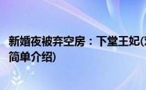 新婚夜被弃空房：下堂王妃(对于新婚夜被弃空房：下堂王妃简单介绍)