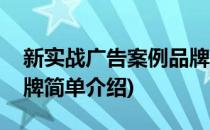 新实战广告案例品牌(对于新实战广告案例品牌简单介绍)