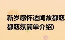 新岁感怀适闻故都寇氛(对于新岁感怀适闻故都寇氛简单介绍)