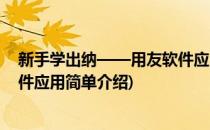 新手学出纳——用友软件应用(对于新手学出纳——用友软件应用简单介绍)