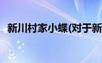 新川村家小蝶(对于新川村家小蝶简单介绍)