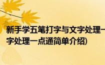 新手学五笔打字与文字处理一点通(对于新手学五笔打字与文字处理一点通简单介绍)