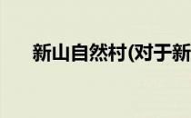 新山自然村(对于新山自然村简单介绍)