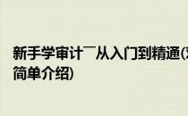 新手学审计――从入门到精通(对于新手学审计――从入门到精通简单介绍)