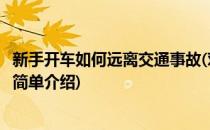 新手开车如何远离交通事故(对于新手开车如何远离交通事故简单介绍)