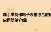新手学制作电子表格综合应用(对于新手学制作电子表格综合应用简单介绍)