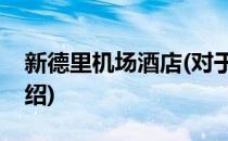新德里机场酒店(对于新德里机场酒店简单介绍)