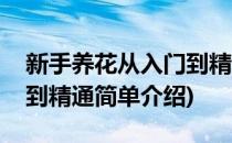 新手养花从入门到精通(对于新手养花从入门到精通简单介绍)