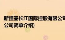 新恒基长江国际控股有限公司(对于新恒基长江国际控股有限公司简单介绍)