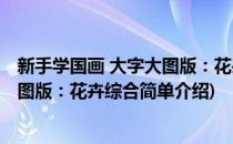 新手学国画 大字大图版：花卉综合(对于新手学国画 大字大图版：花卉综合简单介绍)