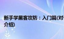 新手学黑客攻防：入门篇(对于新手学黑客攻防：入门篇简单介绍)