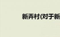 新弄村(对于新弄村简单介绍)