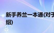 新手养兰一本通(对于新手养兰一本通简单介绍)