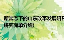 新常态下的山东改革发展研究(对于新常态下的山东改革发展研究简单介绍)