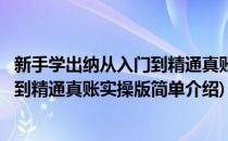 新手学出纳从入门到精通真账实操版(对于新手学出纳从入门到精通真账实操版简单介绍)