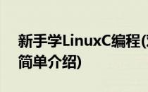 新手学LinuxC编程(对于新手学LinuxC编程简单介绍)