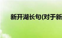 新开湖长句(对于新开湖长句简单介绍)