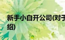 新手小白开公司(对于新手小白开公司简单介绍)