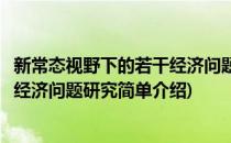 新常态视野下的若干经济问题研究(对于新常态视野下的若干经济问题研究简单介绍)