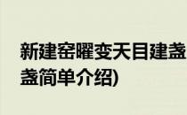 新建窑曜变天目建盏(对于新建窑曜变天目建盏简单介绍)