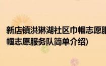 新店镇洪琳湖社区巾帼志愿服务队(对于新店镇洪琳湖社区巾帼志愿服务队简单介绍)