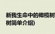 新我生命中的橄榄树(对于新我生命中的橄榄树简单介绍)