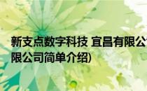 新支点数字科技 宜昌有限公司(对于新支点数字科技 宜昌有限公司简单介绍)