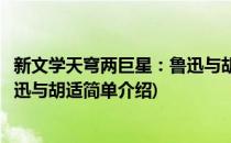 新文学天穹两巨星：鲁迅与胡适(对于新文学天穹两巨星：鲁迅与胡适简单介绍)