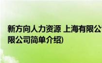 新方向人力资源 上海有限公司(对于新方向人力资源 上海有限公司简单介绍)