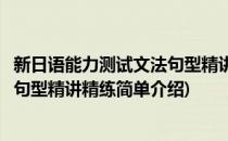 新日语能力测试文法句型精讲精练(对于新日语能力测试文法句型精讲精练简单介绍)