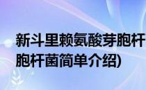 新斗里赖氨酸芽胞杆菌(对于新斗里赖氨酸芽胞杆菌简单介绍)