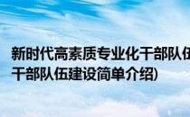 新时代高素质专业化干部队伍建设(对于新时代高素质专业化干部队伍建设简单介绍)