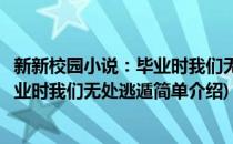 新新校园小说：毕业时我们无处逃遁(对于新新校园小说：毕业时我们无处逃遁简单介绍)
