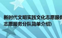 新时代文明实践文化志愿服务分队(对于新时代文明实践文化志愿服务分队简单介绍)